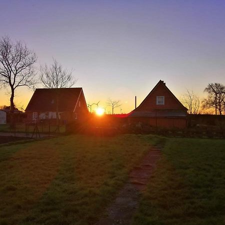 Villa Ferienhaus Krabbenloch Friedrichskoog Exterior foto